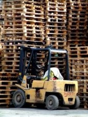 <p>
	Снимка: sxc.hu</p>
