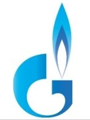 Газпром с рекордни 23,8 млрд. евро печалба за 2010 година