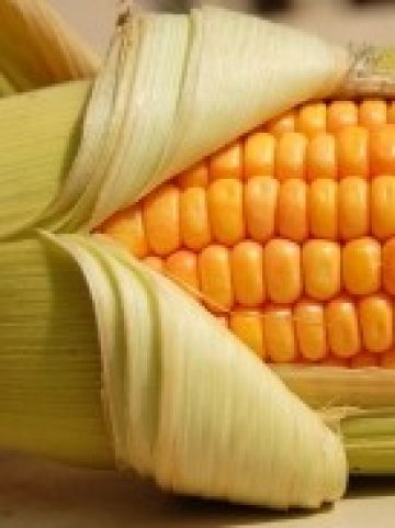 <p>През последната година царевицата поскъпна с 89%, надминавайки скока в цените на пшеницата и соята. Снимка:&nbsp;<font color="#000000">www.sxc.hu</font></p>