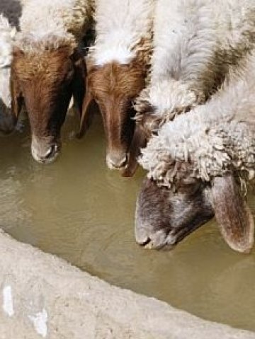 <p>
	Снимка: Ройтерс</p>
