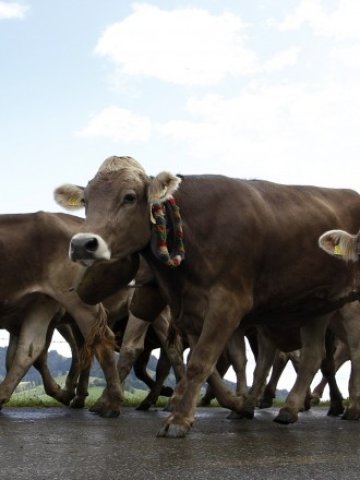 <p>
	Снимка: Ройтерс</p>
