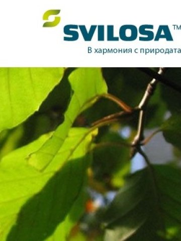 Свилоза АД с 68% спад на консолидираната печалба през 2016