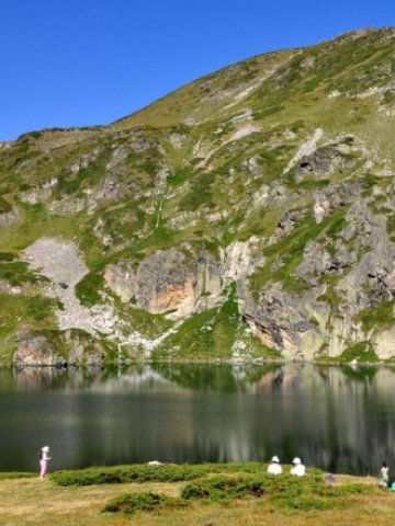 <p>
	Природните паркове имат амбициозни планове за опазване на ценните растителни и животински видове &nbsp; &nbsp;Снимка: БТА</p>
