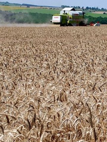 <p>
	<em>Снимка: БТА</em></p>
