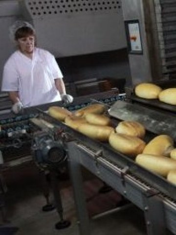 <p>Снимка: БТА</p>