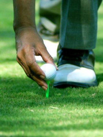 <p>
	Снимка: scx.hu</p>
