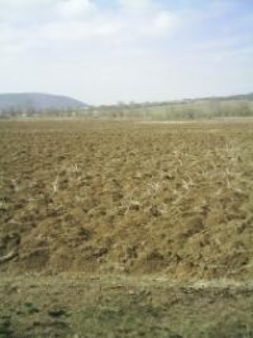 Все повече дружества се насочват към инвестиции в земеделска земя. Снимка: Investor.bg