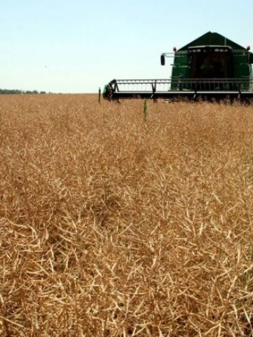 <p>
	Окрупняването на обработваемата земя се активизира през последните пет години</p>
<p>
	Снимка: БТА</p>
