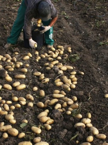 <p>
	Сивият сектор се оказал изключително устойчив и опитите да бъде редуциран са били неуспешни. <em>Снимка: Ройтерс</em></p>
