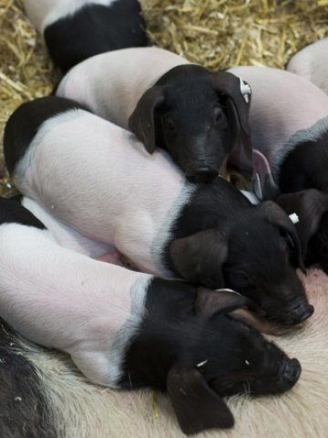 <p>
	<em>Снимка: Ройтерс</em></p>
