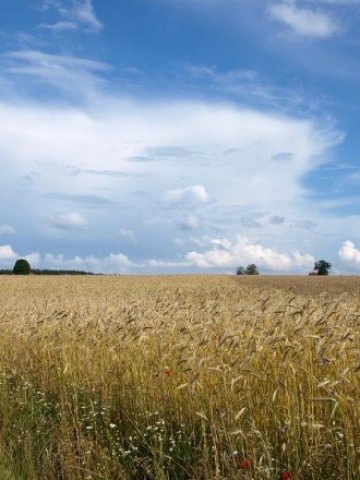 <p>
	Снимка: sxc.hu</p>
