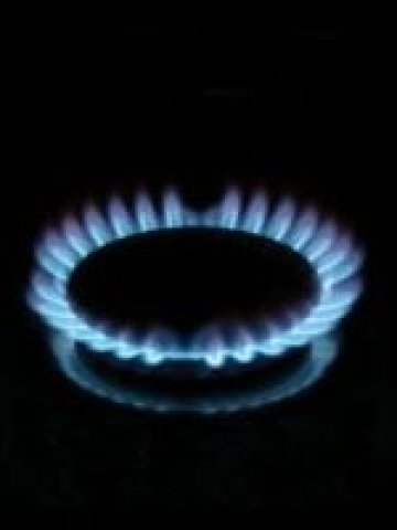 <p>
	<em>Снимка: sxc.hu</em></p>
