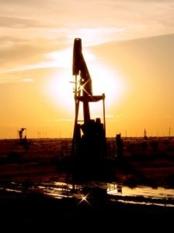 <p>Цената на американския лек суров петрол е скочила с 24% тази година. <i>Снимка: sxc.hu</i></p>