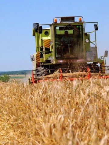 <p>
	Земеделието тепърва се нуждае от нови технологии за борба срещу засушаването. <em>Снимка: БТА</em></p>
