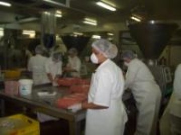 Работещите в Соларис ще се увеличат с около 60 души. Снимка: Investor.bg