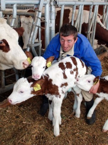 <p>
	<em>Малко ферми успяха да модернизират фермите си, така че да постигнат ниска себестойност на произвежданото мляко</em> &nbsp; &nbsp; Снимка: БТА</p>
