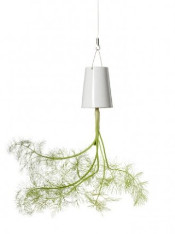 <p>
	<em>Снимки:&nbsp;BOSKKE&nbsp;</em></p>
