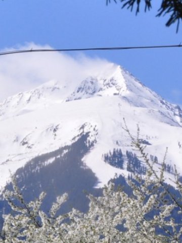 <p>
	<em>Дори на Пирин и Рила ски сезонът се свива поради голбалното затопляне &nbsp;</em> &nbsp; &nbsp; &nbsp; &nbsp; &nbsp; &nbsp;Снимка: БТА</p>
