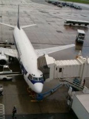 <p>
	Снимка: sxc.hu</p>
