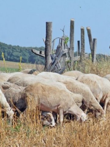 <p>
	Снимка: БТА</p>
