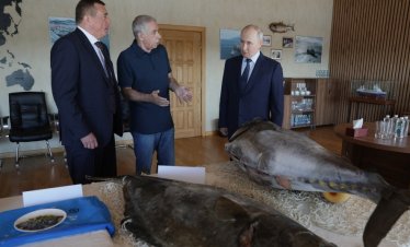 Напрежението между Русия и Япония расте след посещение на Путин на Курилските острови