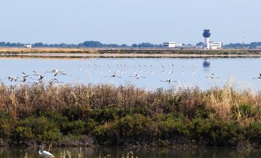 Семейство Тръмп се стреми да разшири имотната си империя в Европа