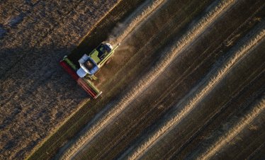 Цените на зърното по света продължават да се движат разнопосочно