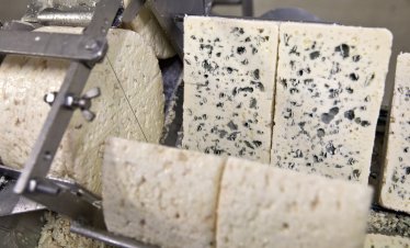 ЕС иска от САЩ да освободят от мита вноса на европейски стоки за 150 млрд. евро