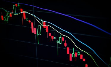 Силата на средата: Защо самостоятелните инвеститори губят по време на криза?