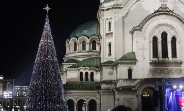 3D елхите за най-търсени на Балканите и в Централна Европа тази година