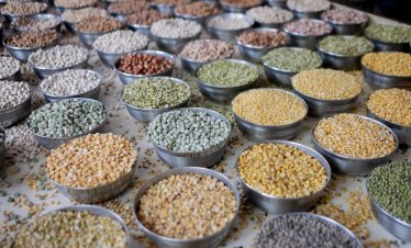 Цените на храните в света са намалели за втори пореден месец през октомври