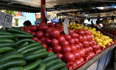 Започват масови проверки на вноса на плодове и зеленчуци