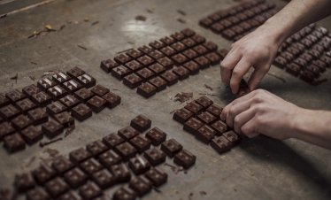 Обемите на преработеното какао надминаха прогнозите, носейки надежда за производителите на шоколад
