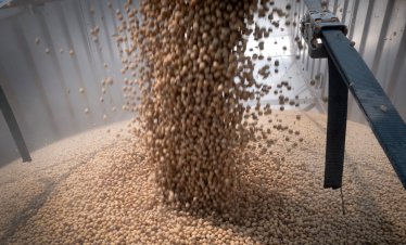 Русия увеличава износа си на зърно с реколтата от украинските части под неин контрол