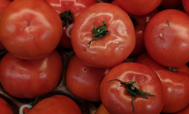 Цената на едро на доматите у нас е нараснала с 16% тази седмица