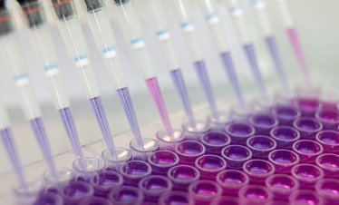 Най-добре представящата се акция в Европа е поскъпнала с 1400% тази година