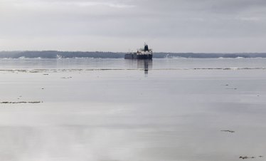Пристанището в Новоросийск е възобновило товаренето на петрол