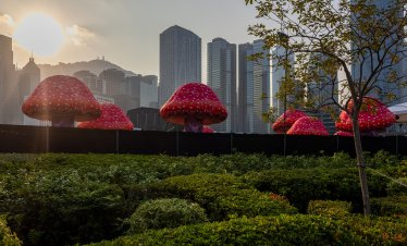 Кадър на деня за 8 декември