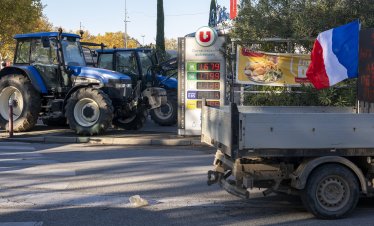 Франция ще забрани вноса на храни със съдържание на забранени в ЕС пестициди