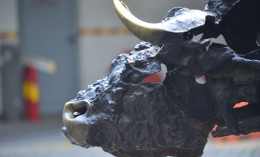 БФБ затвори с оборот под 500 хил. евро