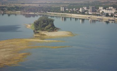 Критичното маловодие на Дунав парализира корабоплаването