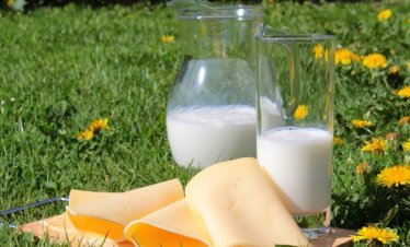 С. Присадашки: При производителите на млечни продукти у нас няма голямо движение на цените