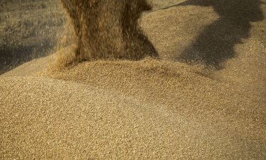 Нов фючърс върху пшеница от Румъния и България се превръща в международен бенчмарк за цените