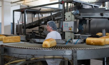 Агенцията по заетостта отчете безработица от 5,2% в България през юни 