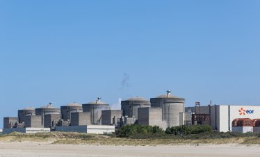 Рояк медузи застрашава доставките на ток от френската АЕЦ &bdquo;Гравлин&ldquo;