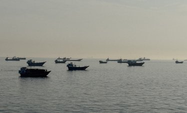Цената на петрола се стабилизира след резкия спад*