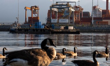 Канада наложи мита до 50% на стоки от САЩ, опасността от по-широка търговска война нараства