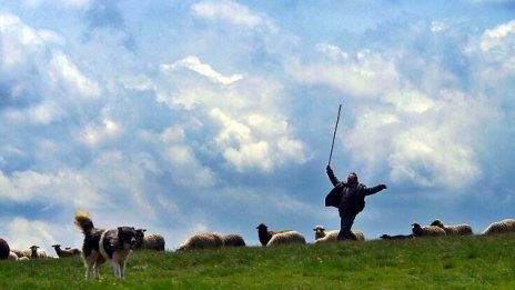 Ще платят ли българите повече за храни от планините?