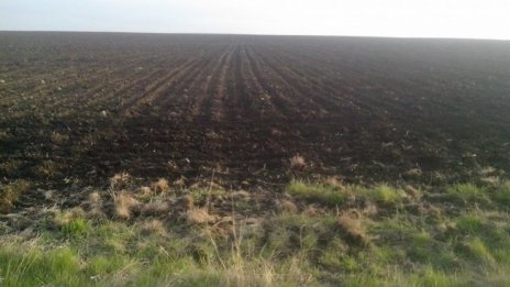 "Адванс Терафонд" е купил над двойно повече земеделски земи през юни