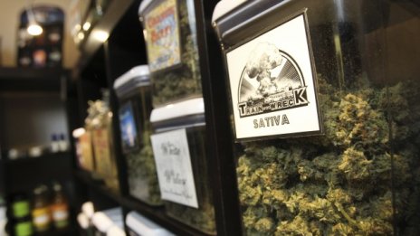 Бизнесът с марихуана